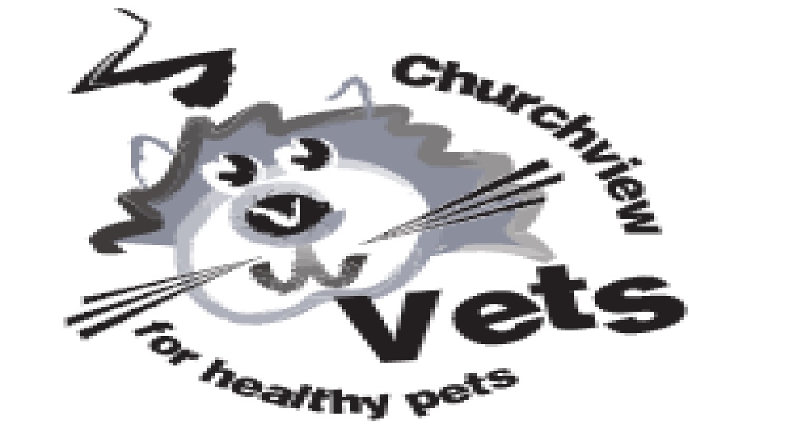 https://www.churchviewvets.co.uk/ logo
