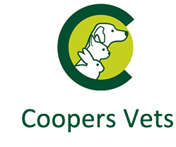 http://coopersvets.co.uk/ logo