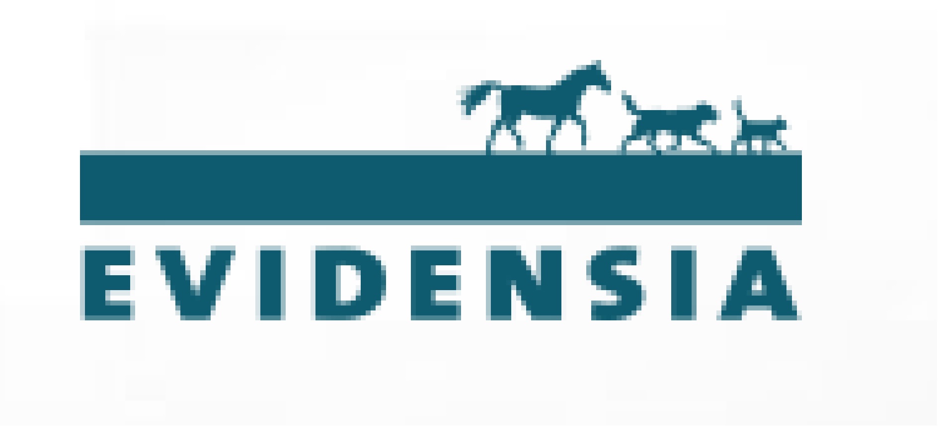 http://evidensiagroup.com/ logo