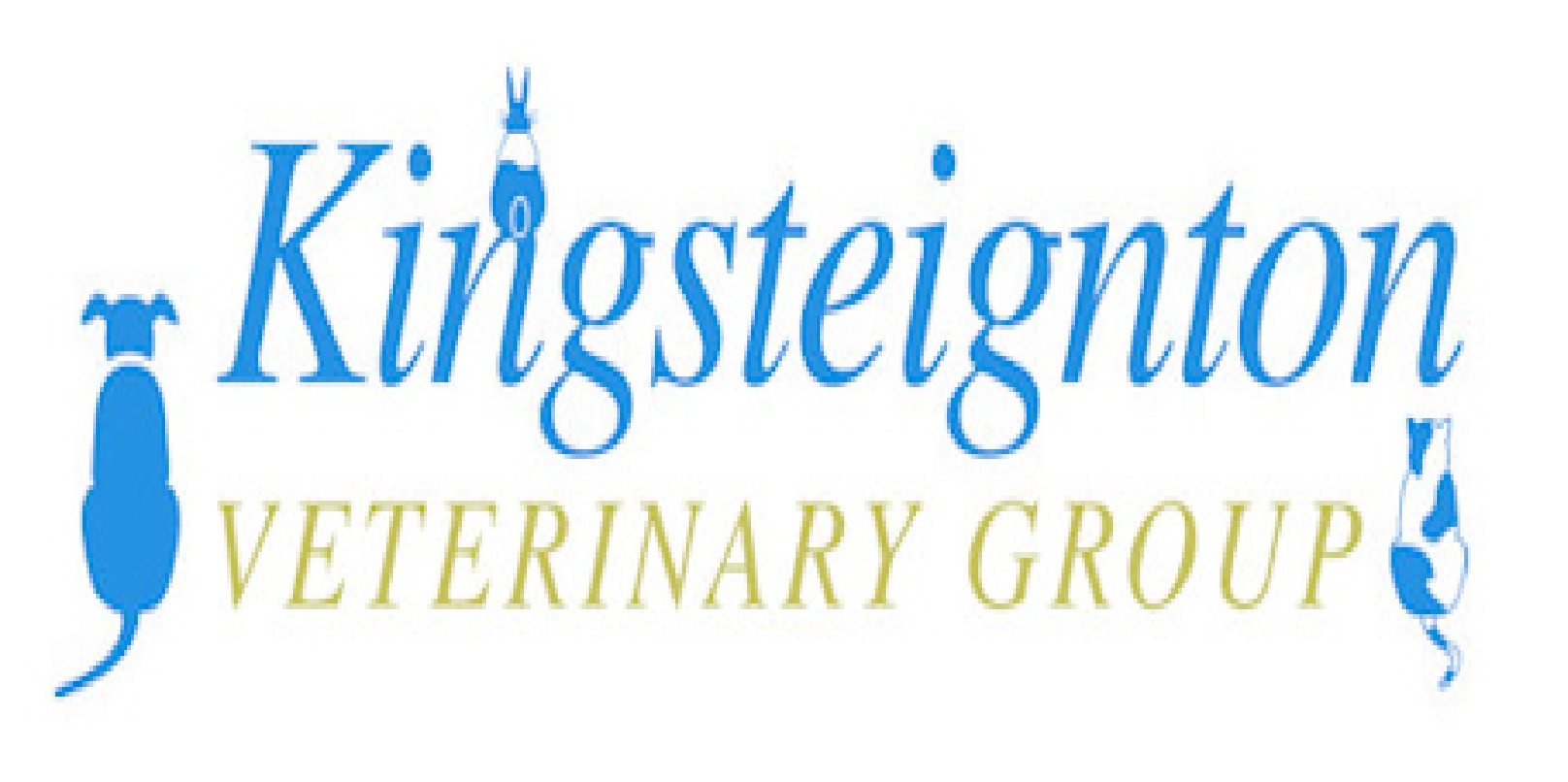 http://www.kingsteigntonvetgroup.co.uk/ logo