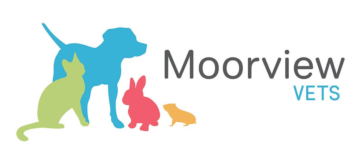 https://www.moorviewvets.co.uk/ logo