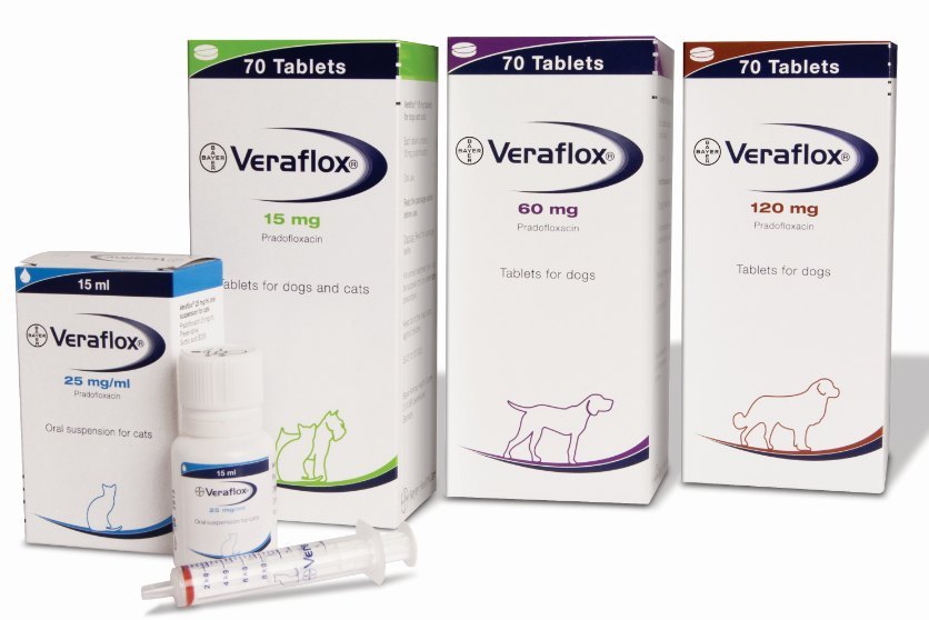 A new generation fluoroquinolone antimicrobial for cats and dogs called Veraflox (pradofloxacin) has been launched by Bayer Animal Health