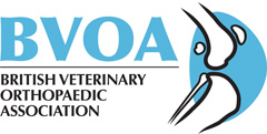 http://www.bsava.com/bvoa logo