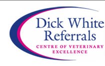 dickwhitereferrals.com logo