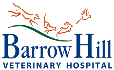 barrowhill-vets.com/ logo