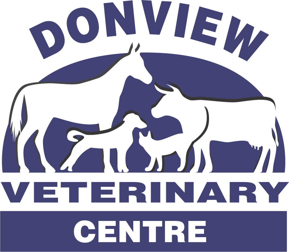 donviewvets.co.uk logo